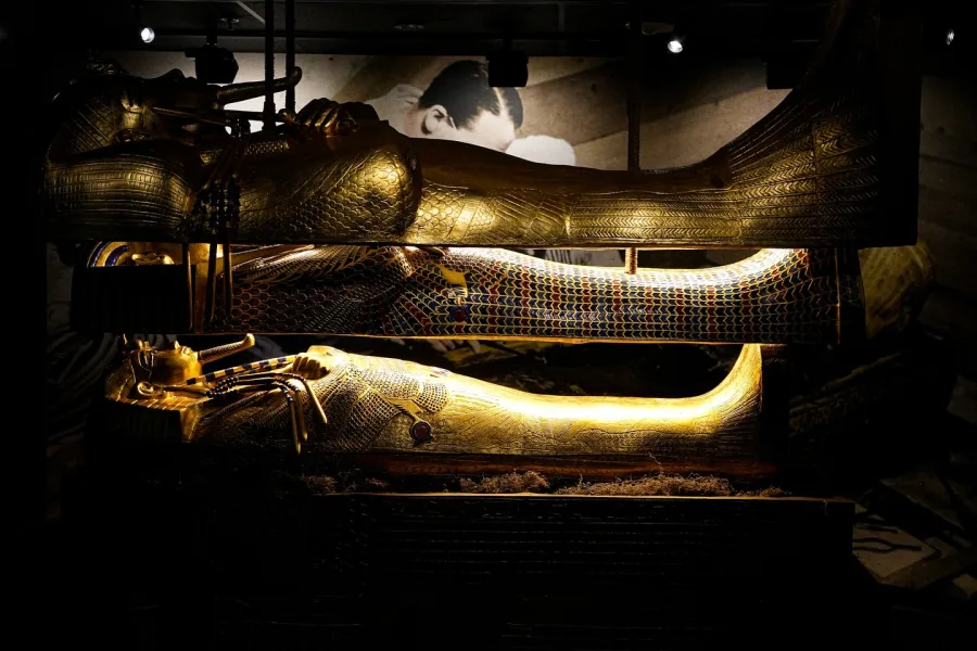 Comprehensive Educational Insights 